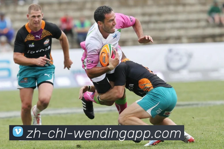 火箭队历年季后赛战绩统计与晋级情况一览